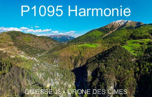 P1095 Harmonie
