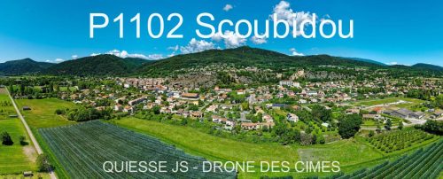 P1102 Scoubidou