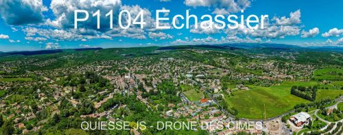 P1104 Echassier