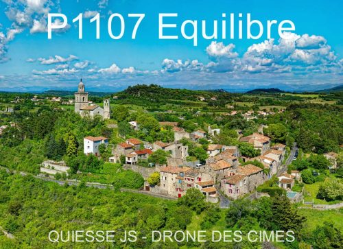 P1107 Equilibre