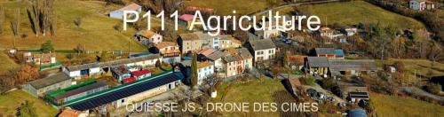 P111 Agriculture