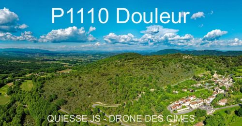 P1110 Douleur