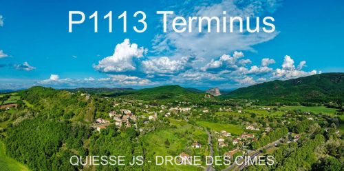 P1113 Terminus