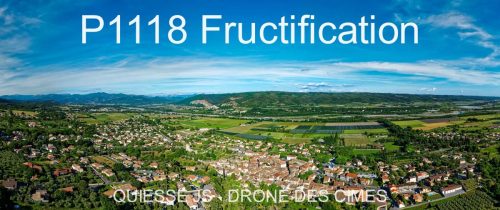 P1118 Fructification