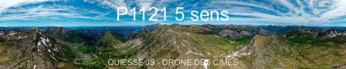 P1121 5 sens