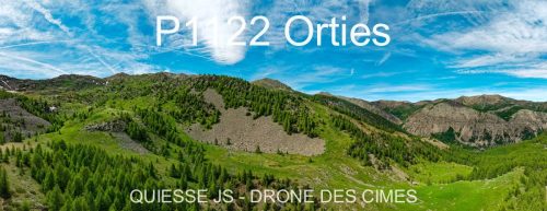 P1122 Orties