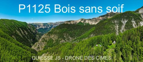 P1125 Bois sans soif