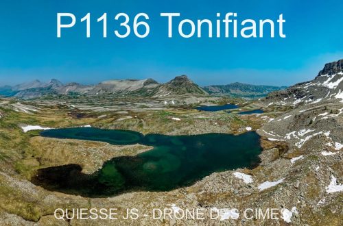 P1136 Tonifiant