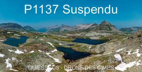 P1137 Suspendu