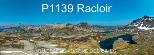P1139 Racloir