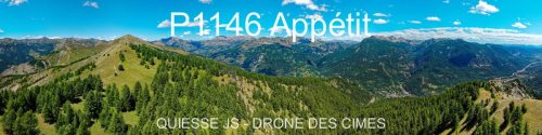 P1146 Appétit