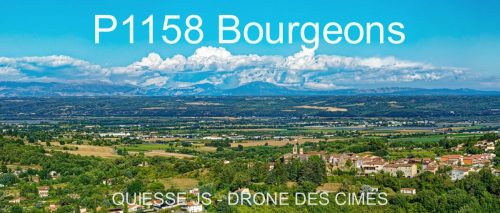 P1158 Bourgeons