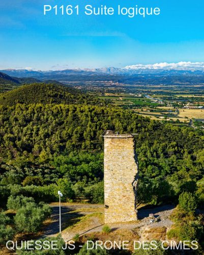 P1161 Suite logique