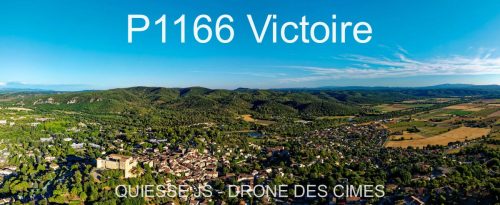 P1166 Victoire
