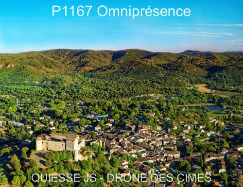 P1167 Omniprésence