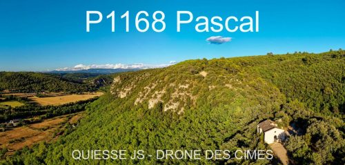 P1168 Pascal