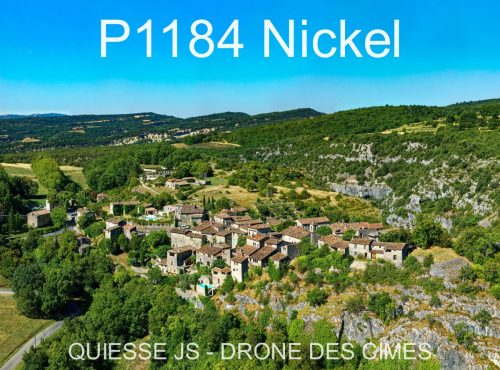 P1184 Nickel