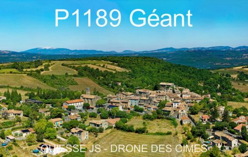 P1189 Géant