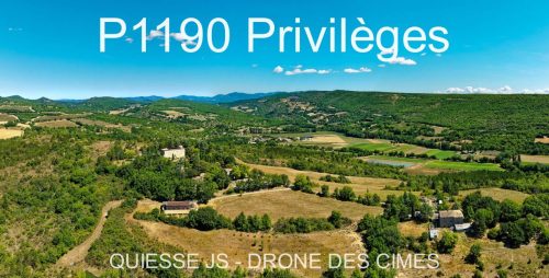 P1190 Privilèges