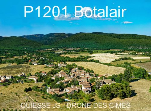 P1201 Botalair