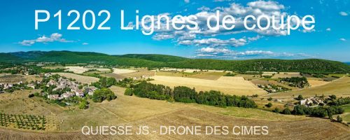 P1202 Lignes de coupe