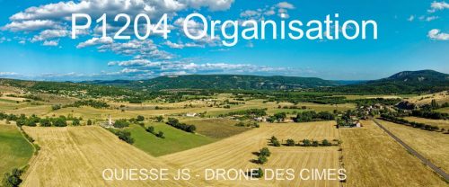 P1204 Organisation