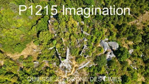 P1215 Imagination