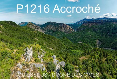 P1216 Accroché