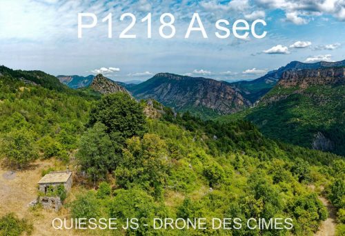 P1218 A sec