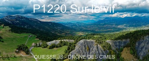 P1220 Sur le vif