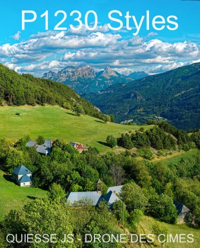 P1230 Styles