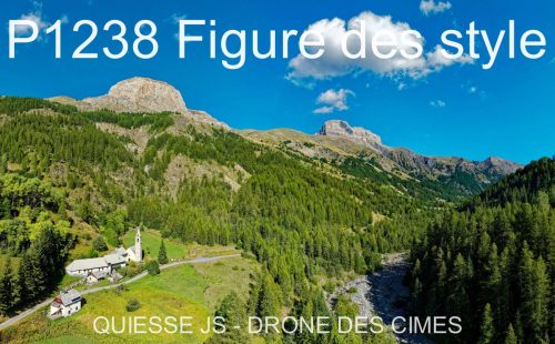 P1238 Figure des style