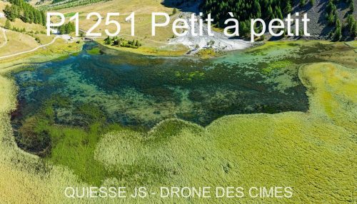 P1251 Petit à petit