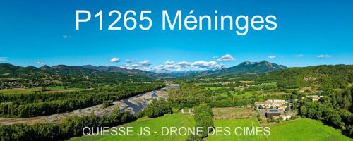 P1265 Méninges
