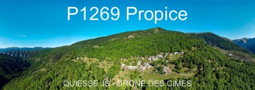 P1269 Propice