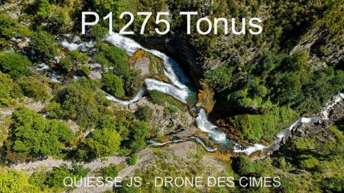 P1275 Tonus