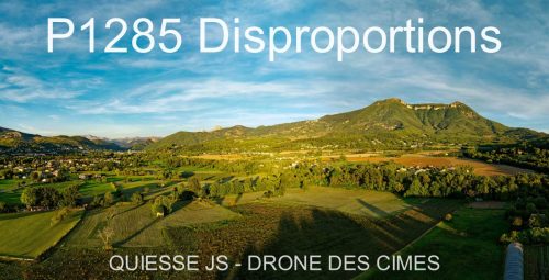 P1285 Disproportions