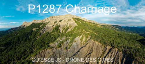P1287 Charriage