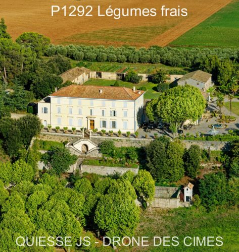 P1292 Légumes frais