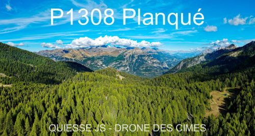P1308 Planqué