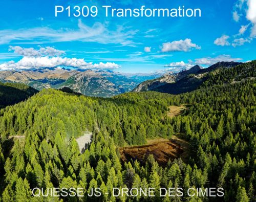 P1309 Transformation