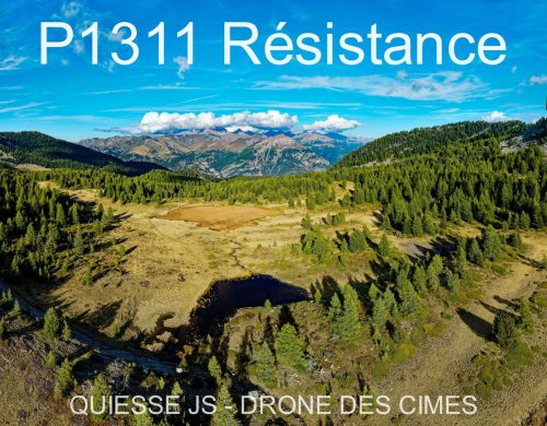 P1311 Résistance