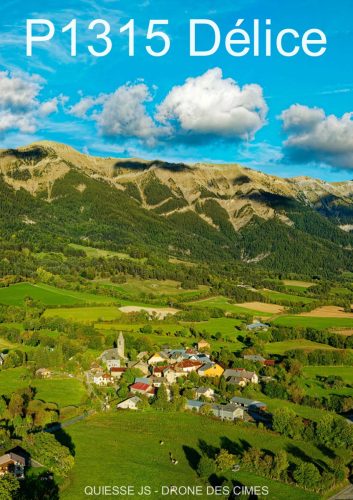 P1315 Délice