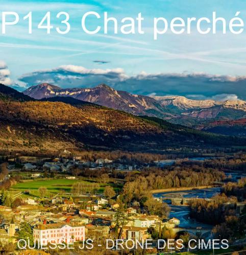 P143 Chat perché