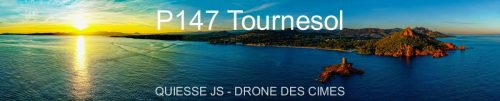 P147 Tournesol