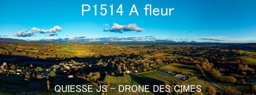 P1514 A fleur