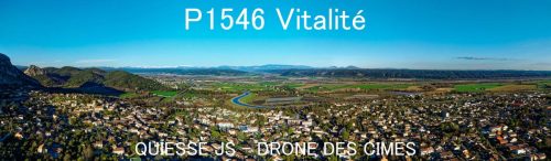 P1546 Vitalité