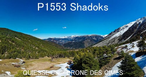 P1553 Shadoks