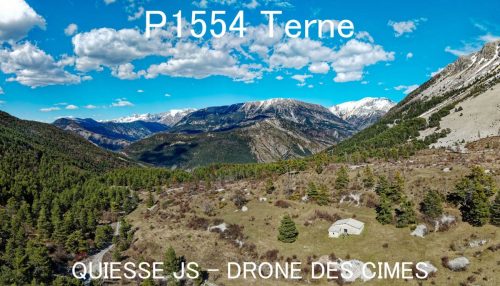 P1554 Terne