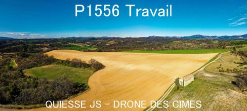 P1556 Travail